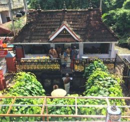 Home kot4